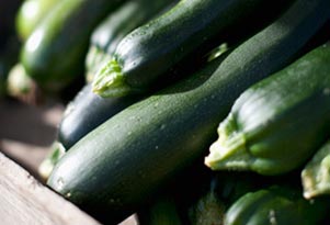 Courgette