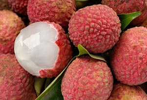 Litchi