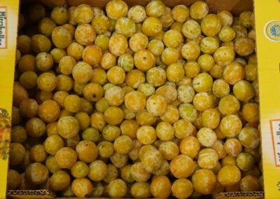 Mirabelle