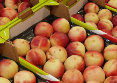 Nectarine