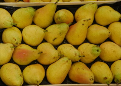 Poire