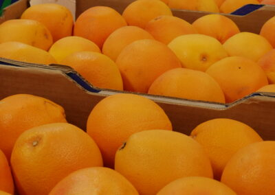 Pomelo