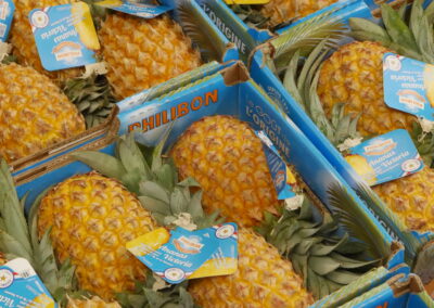 Ananas