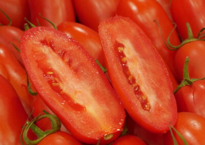 Tomate
