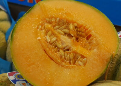 Melon
