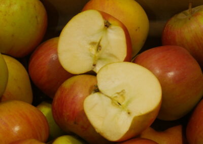 Pomme